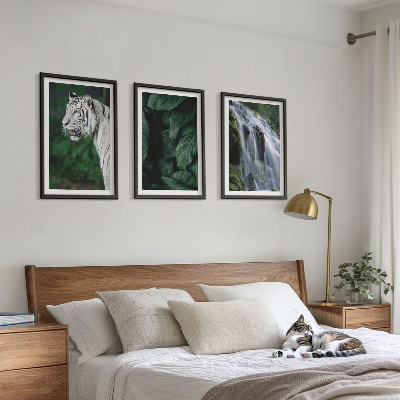 Lot de 3 tableaux pour salon Le tigre blanc laisse une cascade