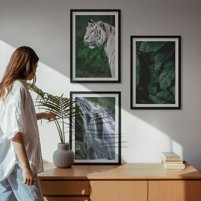 Lot de 3 tableaux pour salon Le tigre blanc laisse une cascade