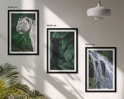 Lot de 3 tableaux pour salon Le tigre blanc laisse une cascade