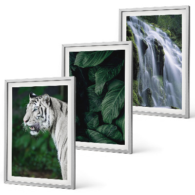 Lot de 3 tableaux pour salon Le tigre blanc laisse une cascade