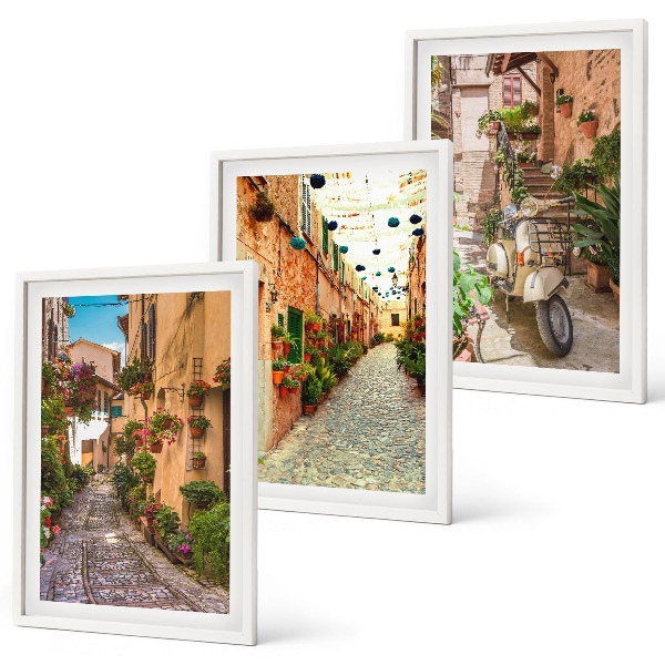 Lot de 3 tableaux pour salon Rues, fleurs, ambiance italienne