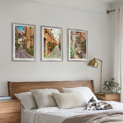 Lot de 3 tableaux pour salon Rues, fleurs, ambiance italienne
