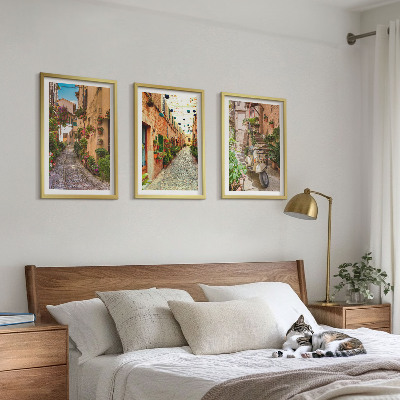 Lot de 3 tableaux pour salon Rues, fleurs, ambiance italienne