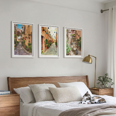 Lot de 3 tableaux pour salon Rues, fleurs, ambiance italienne