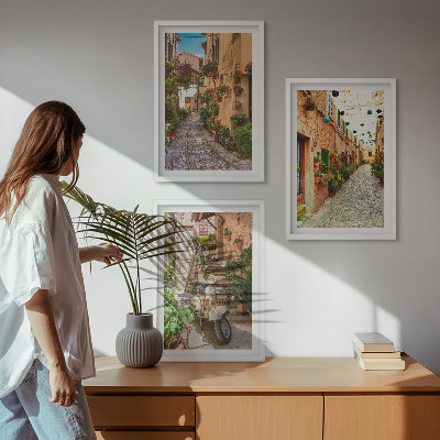 Lot de 3 tableaux pour salon Rues, fleurs, ambiance italienne