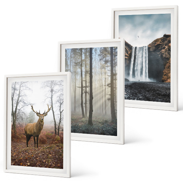 Lot de 3 tableaux pour salon Paysages forestiers nature sauvage