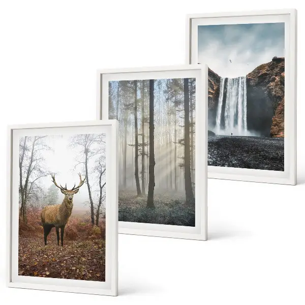 Lot de 3 tableaux pour salon représentant des paysages de nature sauvage et de forêt