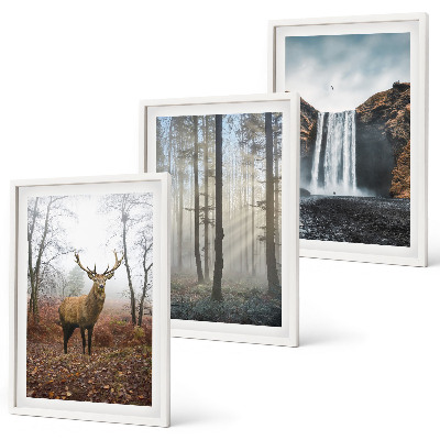 Lot de 3 tableaux pour salon Paysages forestiers nature sauvage