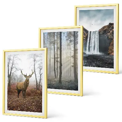 Lot de 3 tableaux pour salon représentant des paysages de nature sauvage et de forêt
