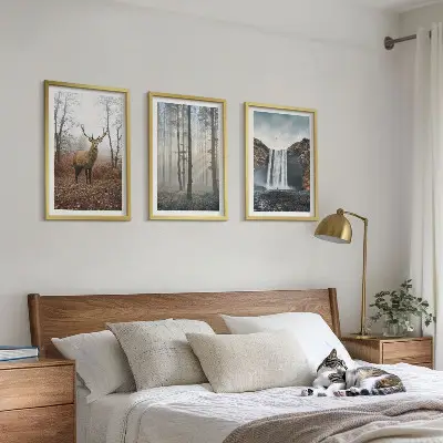 Lot de 3 tableaux pour salon représentant des paysages de nature sauvage et de forêt
