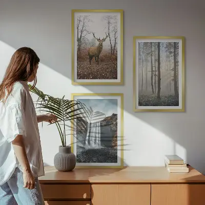 Lot de 3 tableaux pour salon représentant des paysages de nature sauvage et de forêt