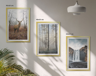 Lot de 3 tableaux pour salon Paysages forestiers nature sauvage