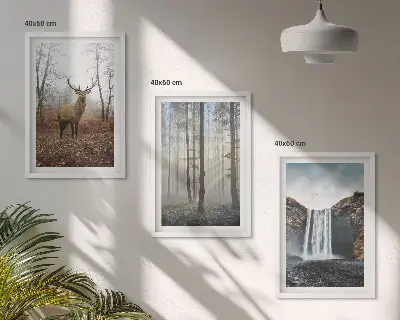 Lot de 3 tableaux pour salon représentant des paysages de nature sauvage et de forêt