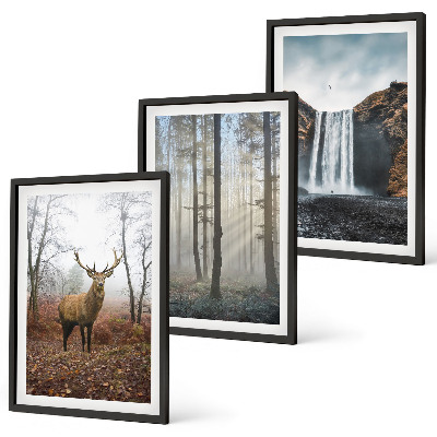 Lot de 3 tableaux pour salon Paysages forestiers nature sauvage