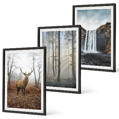 Lot de 3 tableaux pour salon représentant des paysages de nature sauvage et de forêt