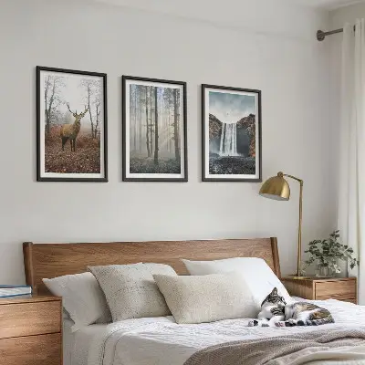 Lot de 3 tableaux pour salon représentant des paysages de nature sauvage et de forêt