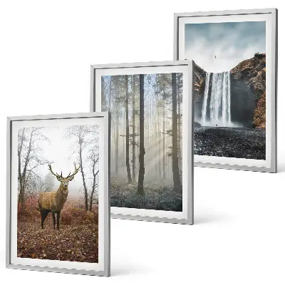 Lot de 3 tableaux pour salon représentant des paysages de nature sauvage et de forêt