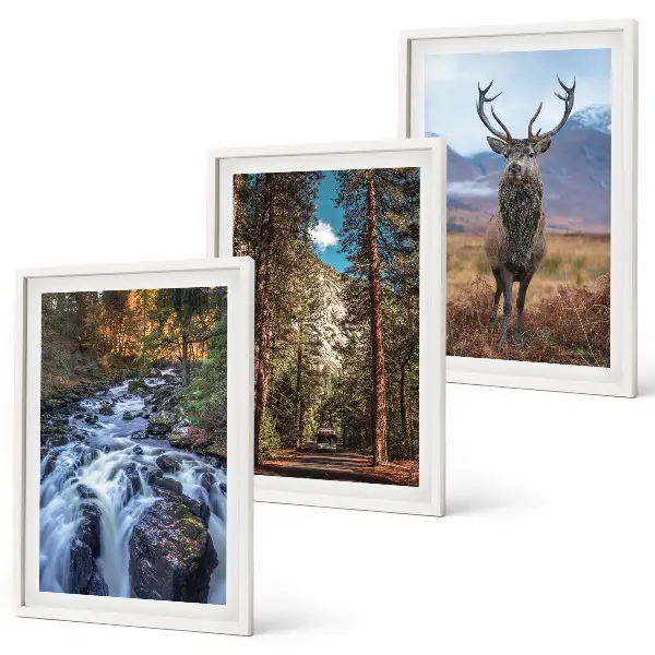 Lot de 3 tableaux pour salon motif cascade forêt montagnes et cerf