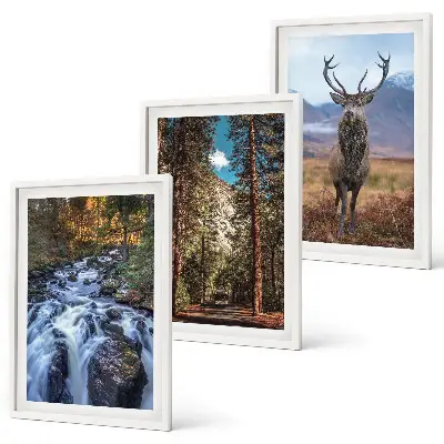 Lot de 3 tableaux pour salon motif cascade forêt montagnes et cerf