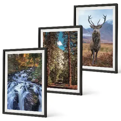 Lot de 3 tableaux pour salon motif cascade forêt montagnes et cerf