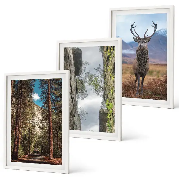 Cadre photo mural représentant une forêt de montagne avec un cerf dans la nature