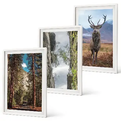 Cadre photo mural représentant une forêt de montagne avec un cerf dans la nature