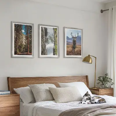 Cadre photo mural représentant une forêt de montagne avec un cerf dans la nature