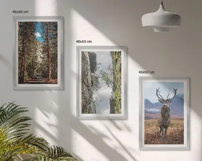 Cadre photo mural représentant une forêt de montagne avec un cerf dans la nature