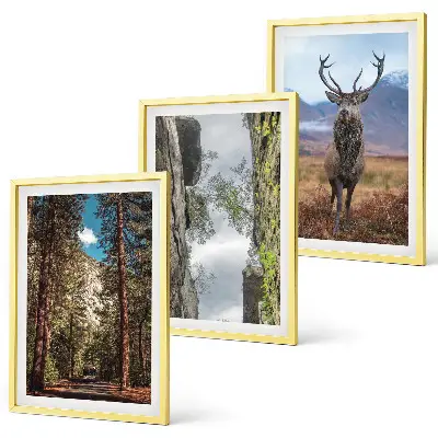 Cadre photo mural représentant une forêt de montagne avec un cerf dans la nature