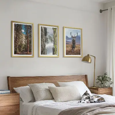 Cadre photo mural représentant une forêt de montagne avec un cerf dans la nature