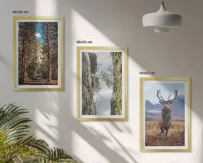 Cadre photo mural représentant une forêt de montagne avec un cerf dans la nature