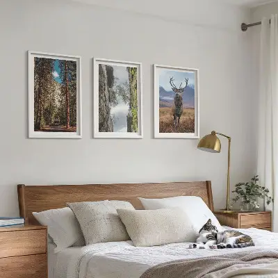 Cadre photo mural représentant une forêt de montagne avec un cerf dans la nature