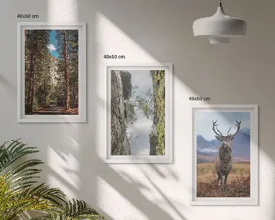 Cadre photo mural représentant une forêt de montagne avec un cerf dans la nature