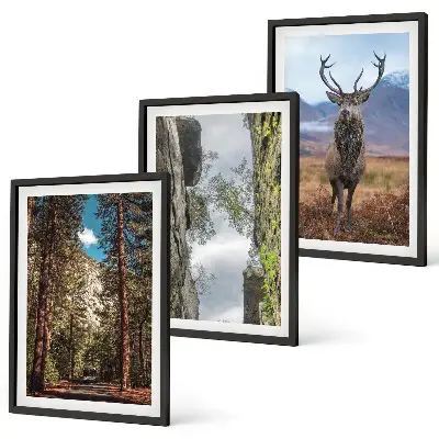 Cadre photo mural représentant une forêt de montagne avec un cerf dans la nature
