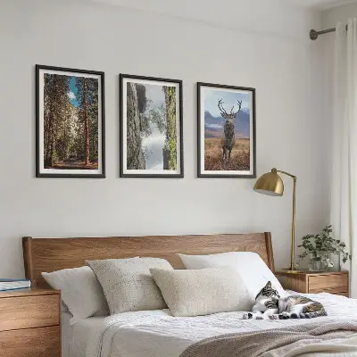 Cadre photo mural représentant une forêt de montagne avec un cerf dans la nature