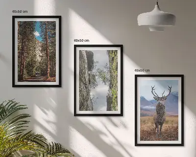 Cadre photo mural représentant une forêt de montagne avec un cerf dans la nature