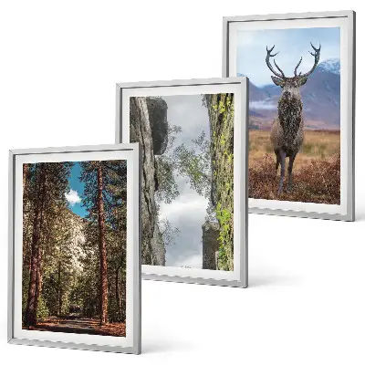 Cadre photo mural représentant une forêt de montagne avec un cerf dans la nature