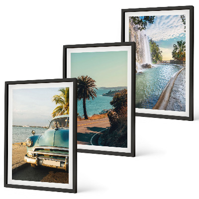 Cadre photo mural Cascade de palmiers de vacances