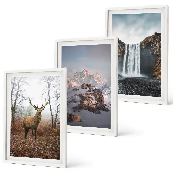 Lot de 3 tableaux pour salon représentant des paysages montagneux sauvages