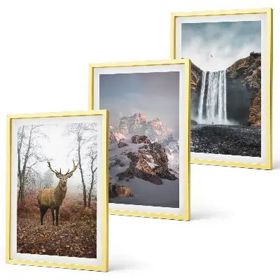 Lot de 3 tableaux pour salon représentant des paysages montagneux sauvages