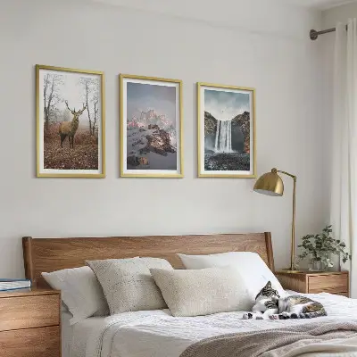 Lot de 3 tableaux pour salon représentant des paysages montagneux sauvages