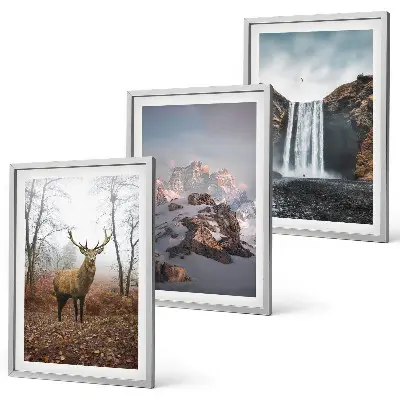 Lot de 3 tableaux pour salon représentant des paysages montagneux sauvages