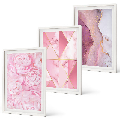 Lot de 3 tableaux pour salon Pivoines géométriques roses