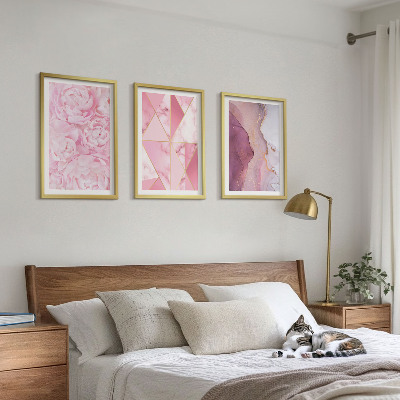 Lot de 3 tableaux pour salon Pivoines géométriques roses