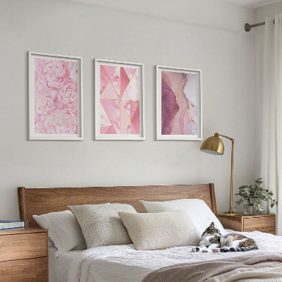 Lot de 3 tableaux pour salon Pivoines géométriques roses
