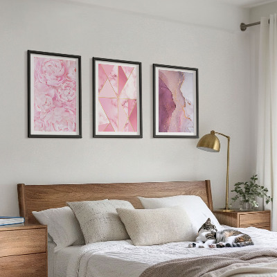 Lot de 3 tableaux pour salon Pivoines géométriques roses