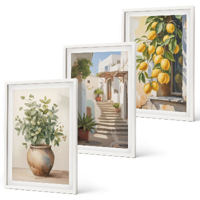 Lot de 3 tableaux pour salon Citronniers en pot rue
