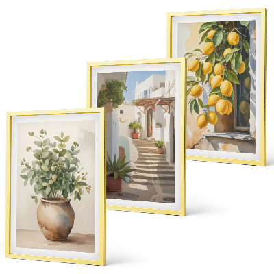 Lot de 3 tableaux pour salon Citronniers en pot rue