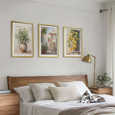 Lot de 3 tableaux pour salon Citronniers en pot rue