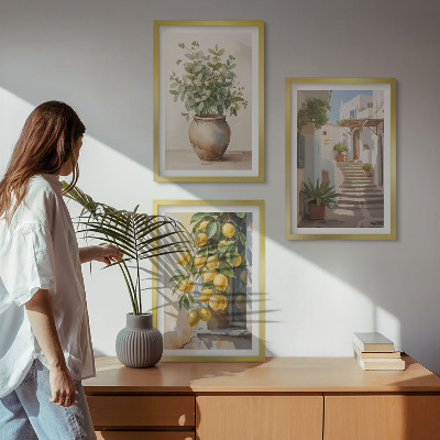 Lot de 3 tableaux pour salon Citronniers en pot rue